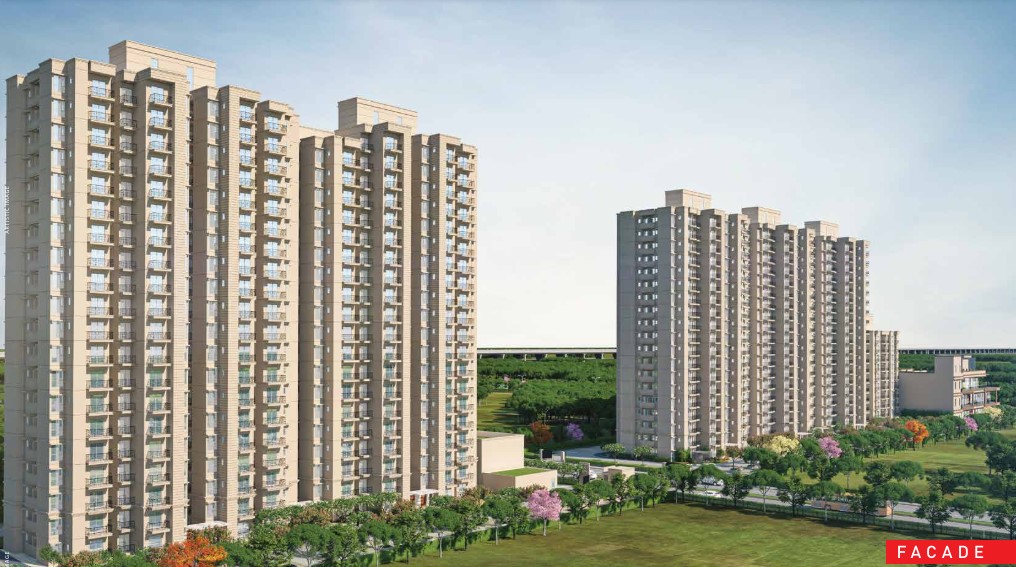 Signature The Millennia 4